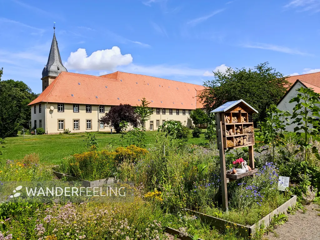 202307180-13 - Kräutergarten im Kloster Wöltingerode bei Vienenburg, Harz, Niedersachsen, Deutschland