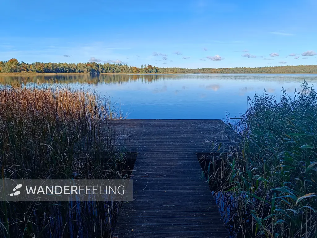 202510130-21 - Krakower See bei Krakow am See, Mecklenburgische Seenplatte, Mecklenburg-Vorpommern, Deutschland