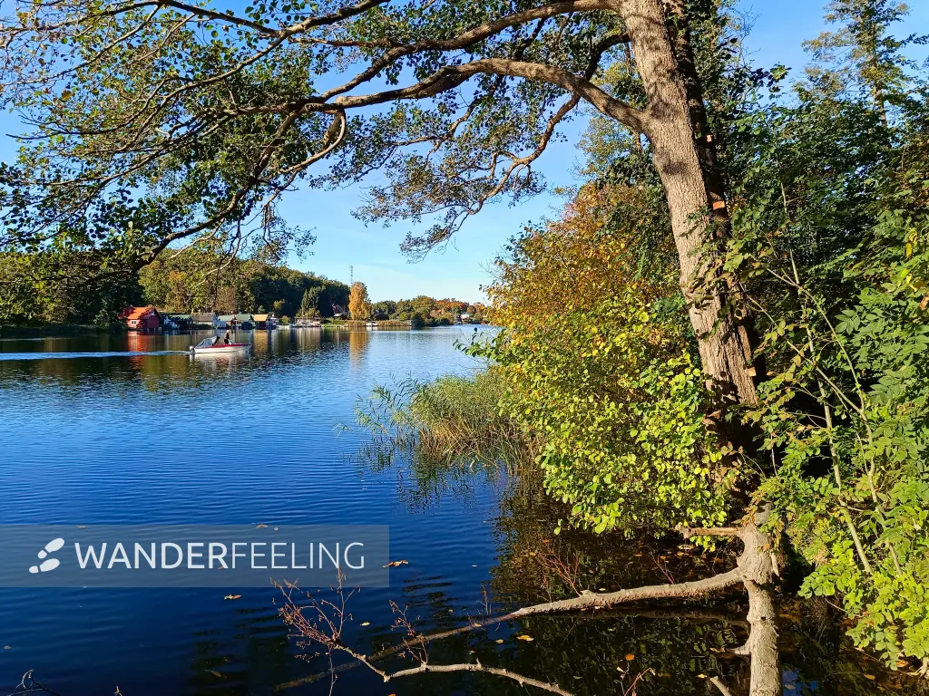 202510130-31 - Krakower See bei Krakow am See, Mecklenburgische Seenplatte, Mecklenburg-Vorpommern, Deutschland