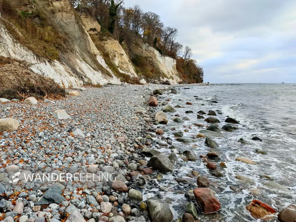 202311070-08 - Kreideküste bei Sassnitz, Rügen, Mecklenburg-Vorpommern, Deutschland