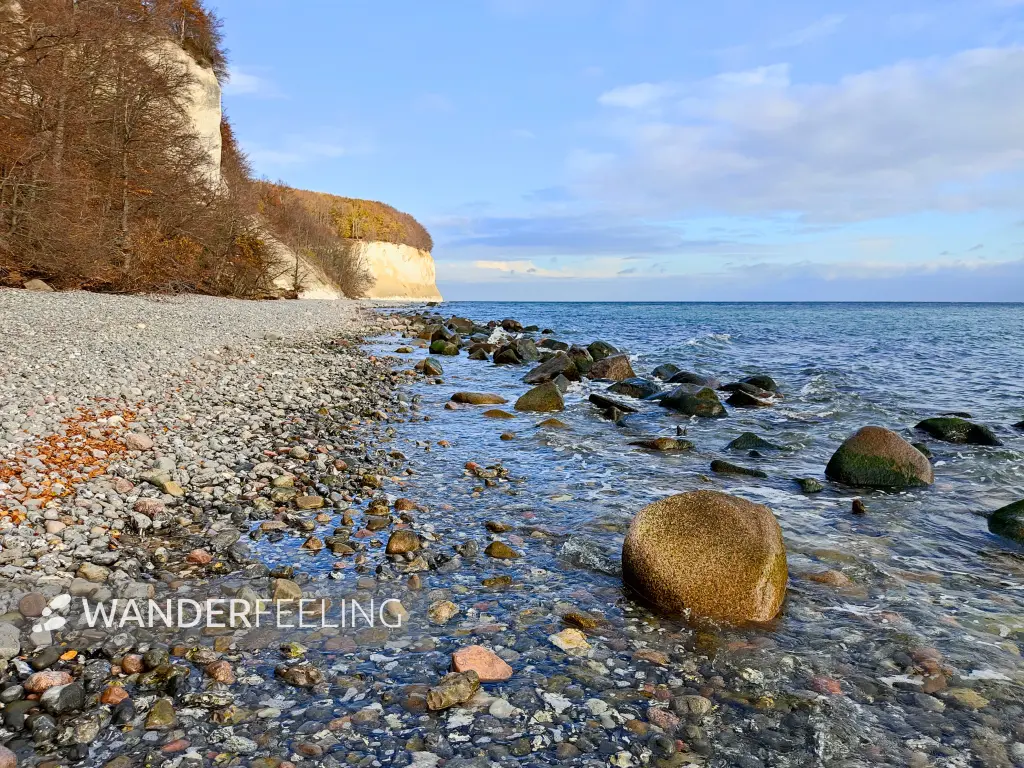 202311070-13 - Kreideküste im Nationalpark Jasmund bei Sassnitz, Rügen, Mecklenburg-Vorpommern, Deutschland