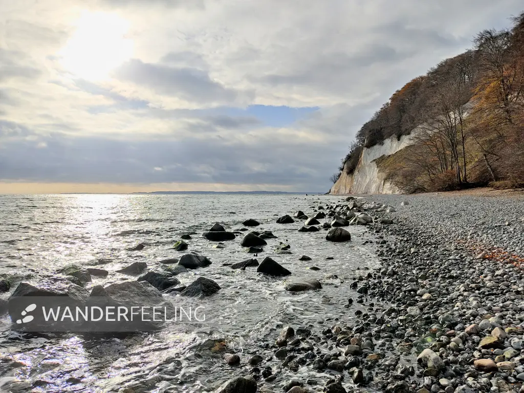 202311070-14 - Kreideküste im Nationalpark Jasmund bei Sassnitz, Rügen, Mecklenburg-Vorpommern, Deutschland
