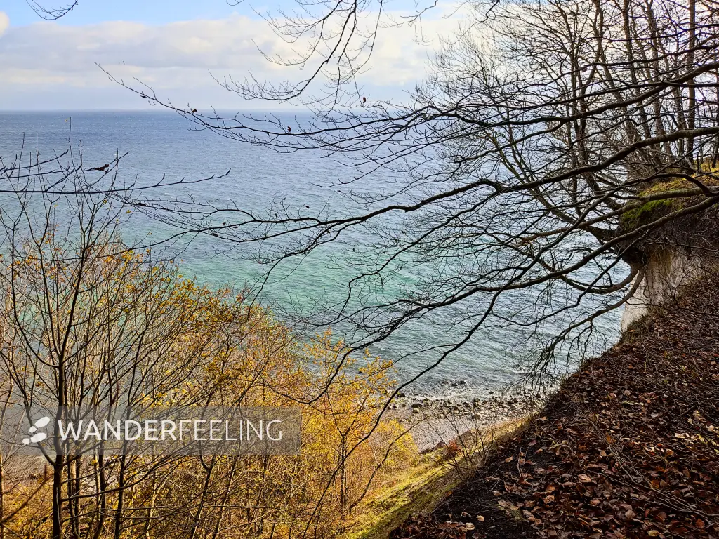 202311070-22 - Kreideküste im Nationalpark Jasmund bei Sassnitz, Rügen, Mecklenburg-Vorpommern, Deutschland