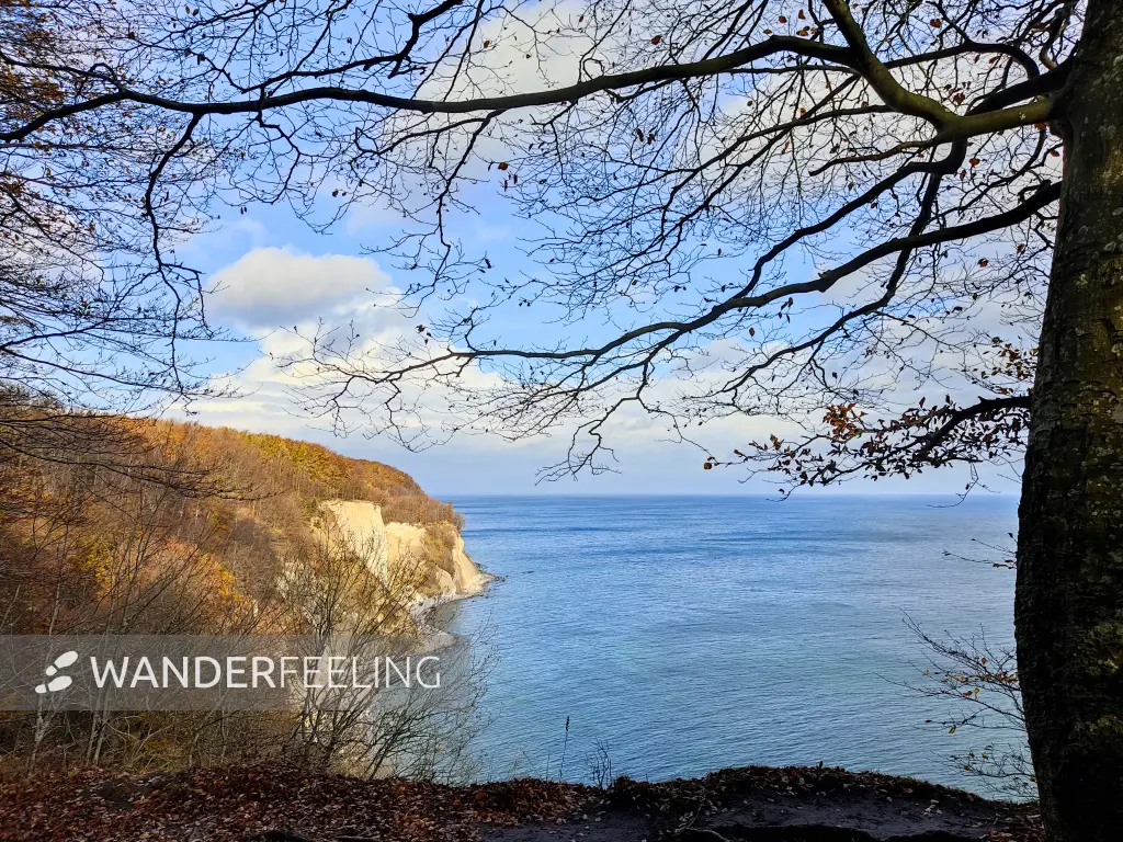 202311070-27 - Kreideküste im Nationalpark Jasmund, Rügen, Mecklenburg-Vorpommern, Deutschland