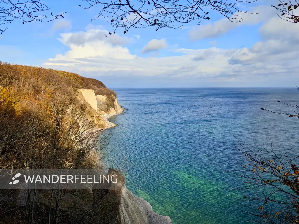 202311070-28 - Kreideküste im Nationalpark Jasmund, Rügen, Mecklenburg-Vorpommern, Deutschland
