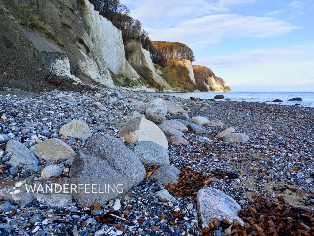 202311070-37 - Kreideküste im Nationalpark Jasmund, Rügen, Mecklenburg-Vorpommern, Deutschland