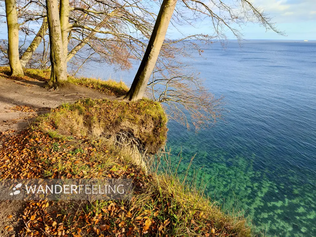 202311070-42 - Kreideküste im Nationalpark Jasmund, Rügen, Mecklenburg-Vorpommern, Deutschland