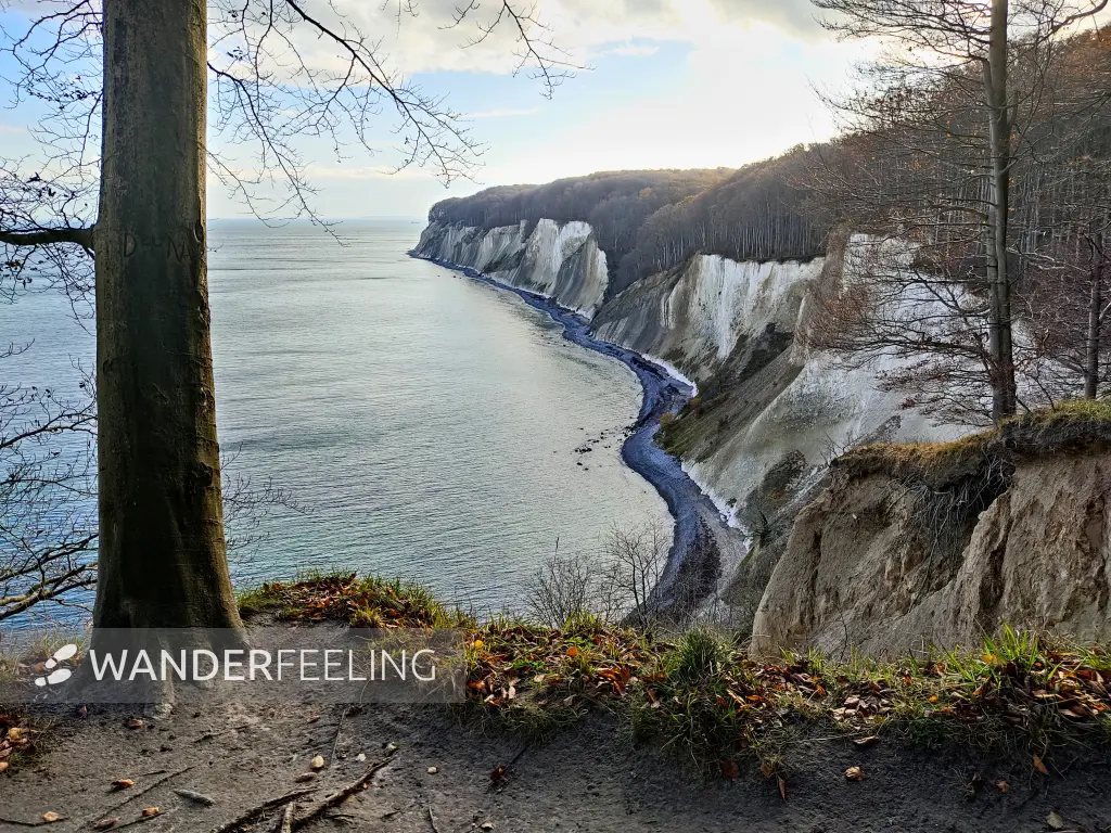 202311070-43 - Kreideküste im Nationalpark Jasmund, Rügen, Mecklenburg-Vorpommern, Deutschland