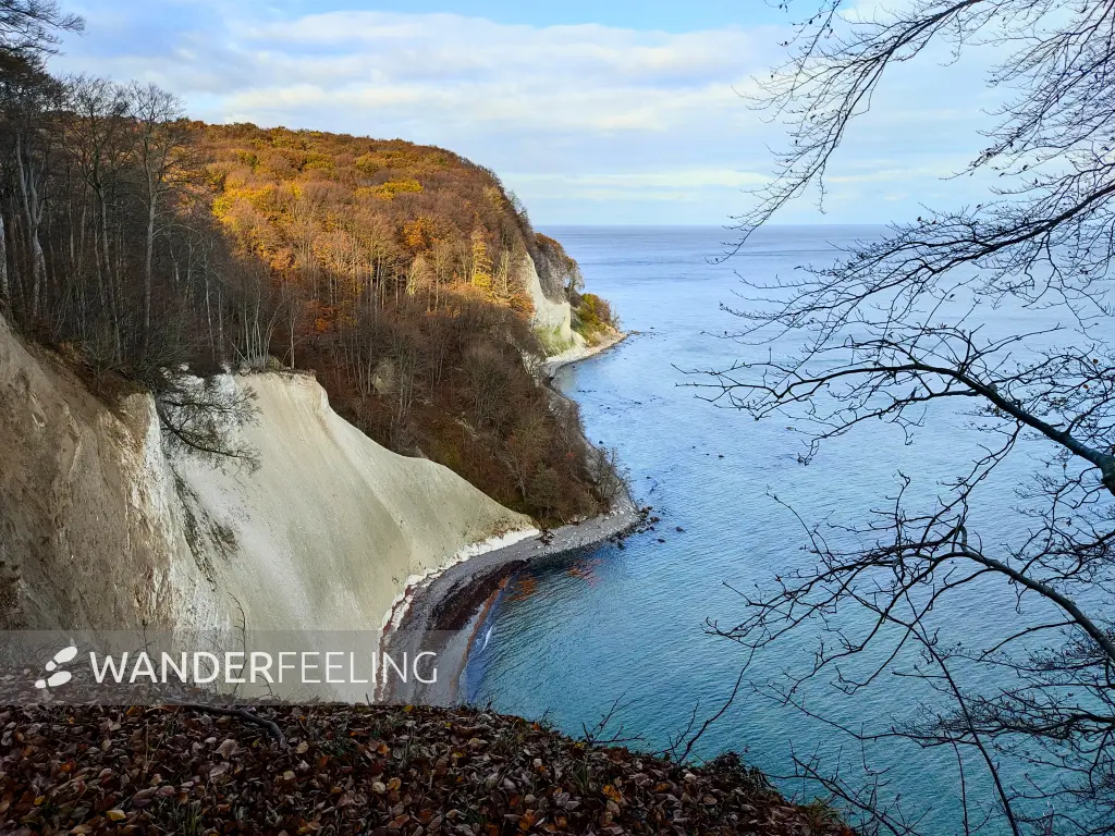 202311070-44 - Kreideküste im Nationalpark Jasmund, Rügen, Mecklenburg-Vorpommern, Deutschland