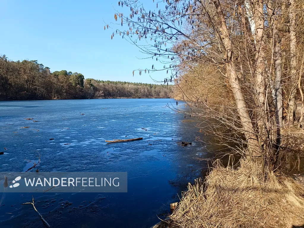 202603070-41 - Krumme Lanke, Berlin, Deutschland