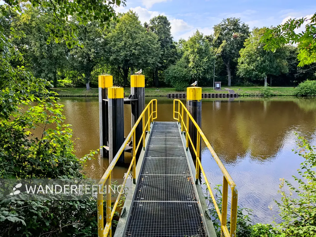 202308160-26 - Küstenkanal in Oldenburg, Oldenburger Land, Niedersachsen, Deutschland