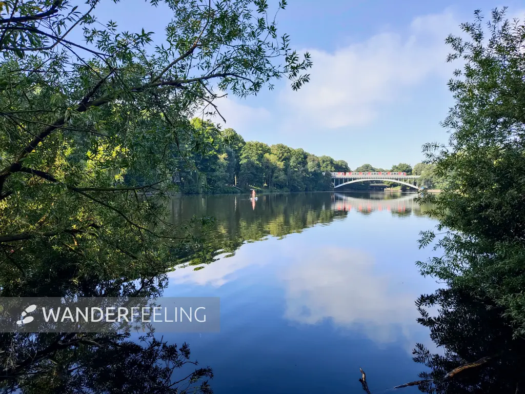 202308200-15 - Kuhmühlenteich in Uhlenhorst, Hamburg, Deutschland