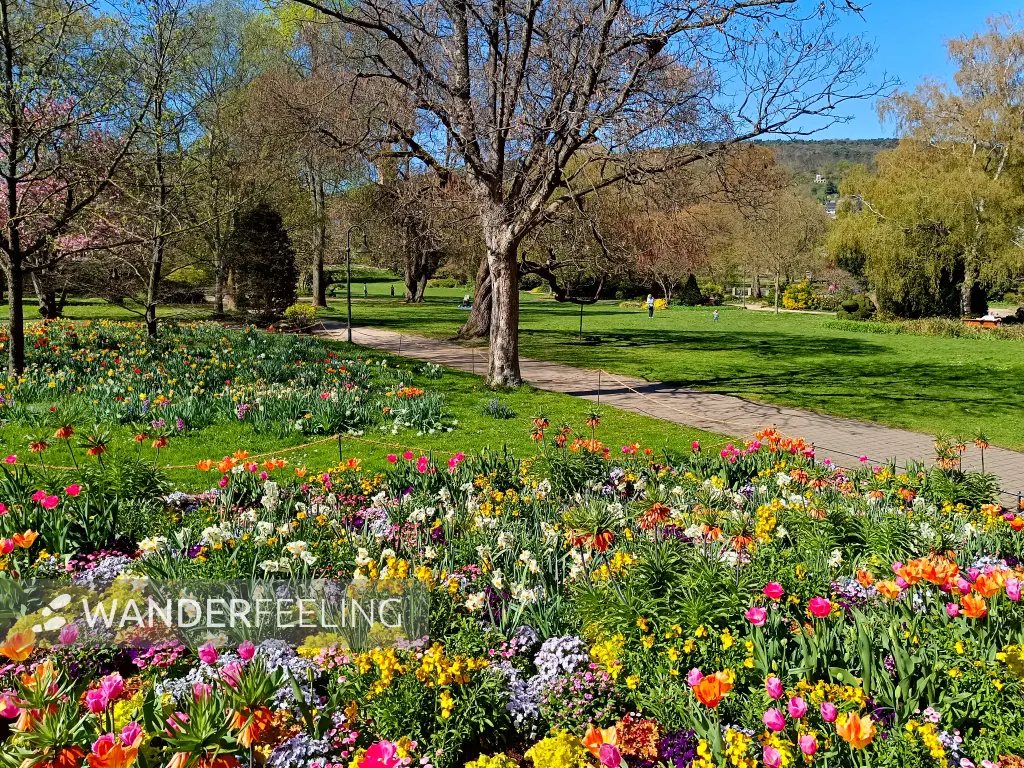202504120-02 - Kurpark in Bad Dürkheim, Pfalz, Rheinland-Pfalz, Deutschland