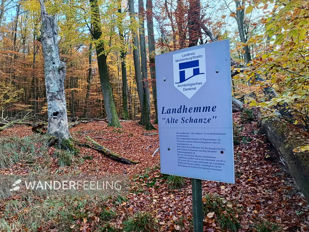 202511040-16 - Landhemme im Müritz-Nationalpark bei Carpin, Mecklenburgische Seenplatte, Mecklenburg-Vorpommern, Deutschland