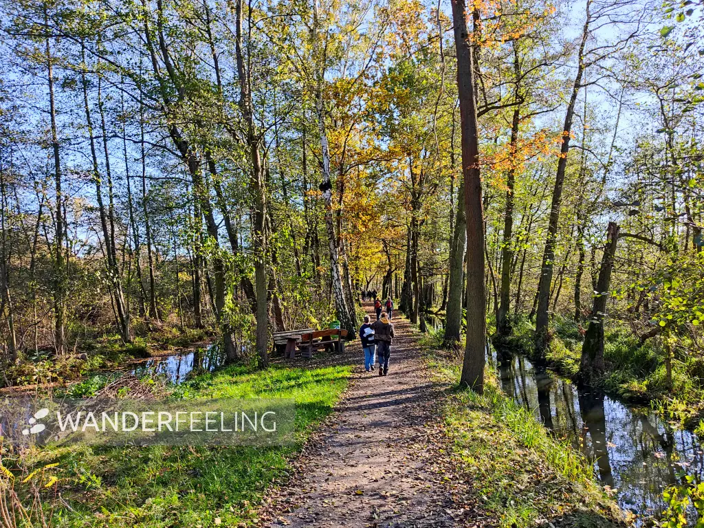 202311040-18 - Leiper Weg und Leiper Weggraben bei Lehde, Spreewald, Brandenburg, Deutschland