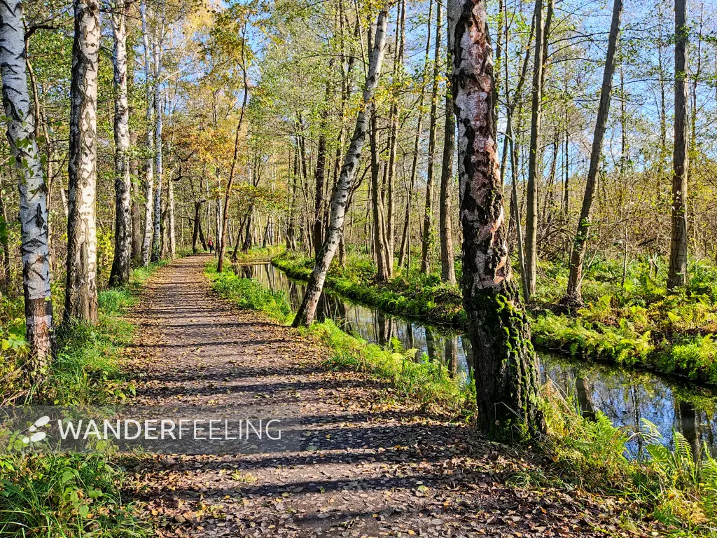 202311040-21 - Leiper Weg und Leiper Weggraben bei Lehde, Spreewald, Brandenburg, Deutschland