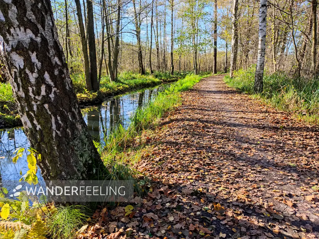 202311040-20 - Leiper Weggraben bei Lehde, Spreewald, Brandenburg, Deutschland