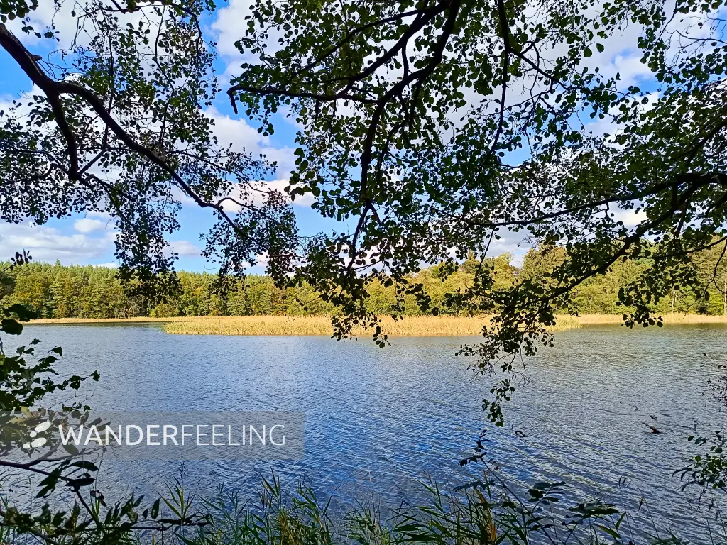 202409300-37 - Libbesickesee, Uckermark, Brandenburg, Deutschland