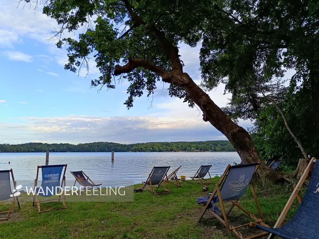 202507300-26 - Liegestühle am Templiner See, Potsdam, Brandenburg, Deutschland