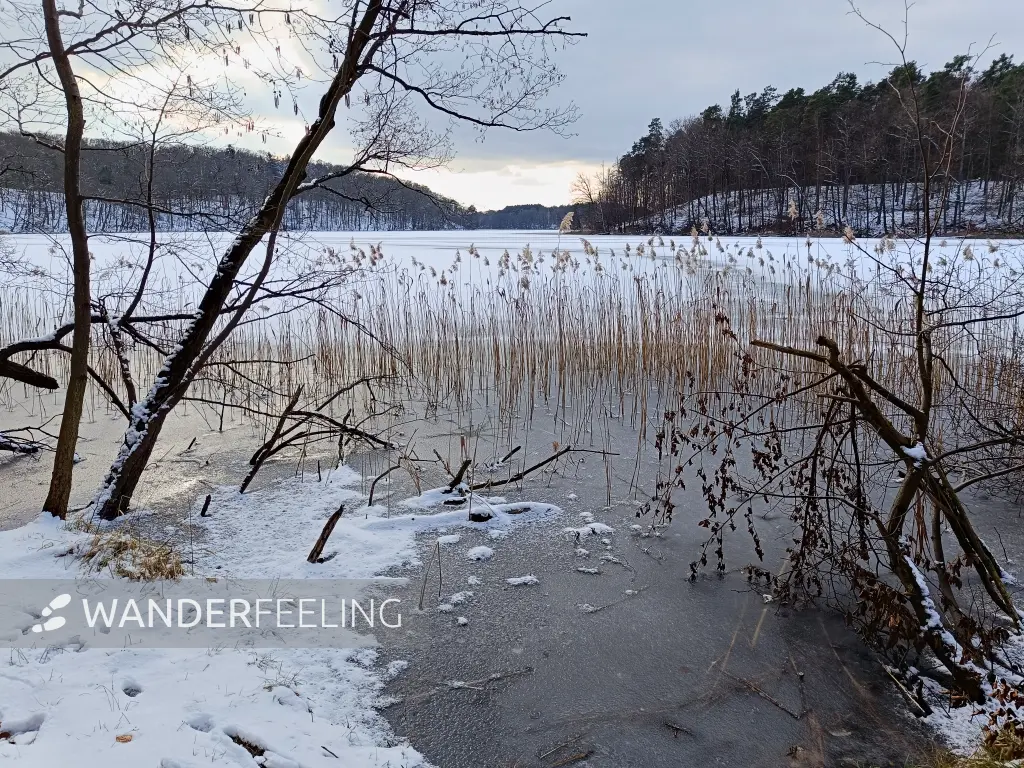 202502150-33 - Liepnitzsee, Barnimer Land, Bandenburg, Deutschland