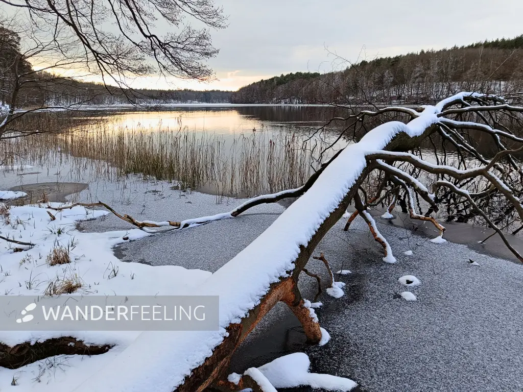 202502150-37 - Liepnitzsee, Barnimer Land, Bandenburg, Deutschland