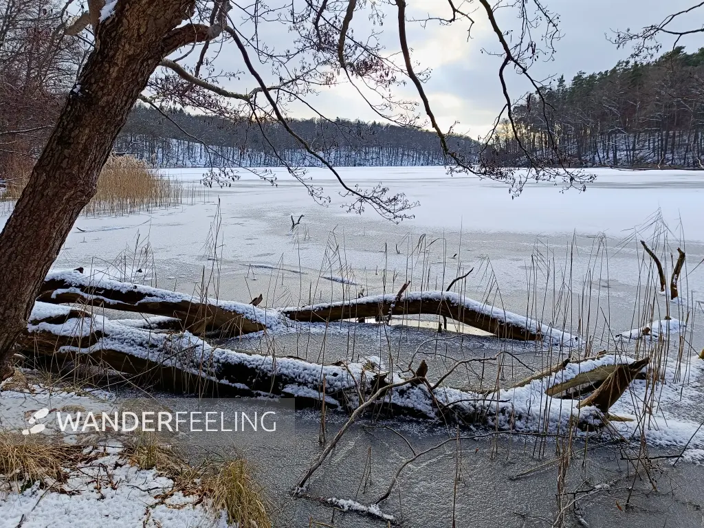 202502150-31 - Liepnitzsee, Barnimer Land, Brandenburg, Deutschland