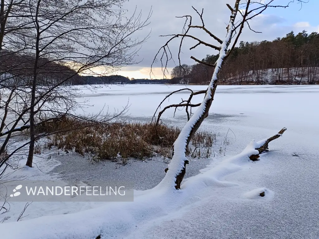 202502150-34 - Liepnitzsee, Barnimer Land, Brandenburg, Deutschland