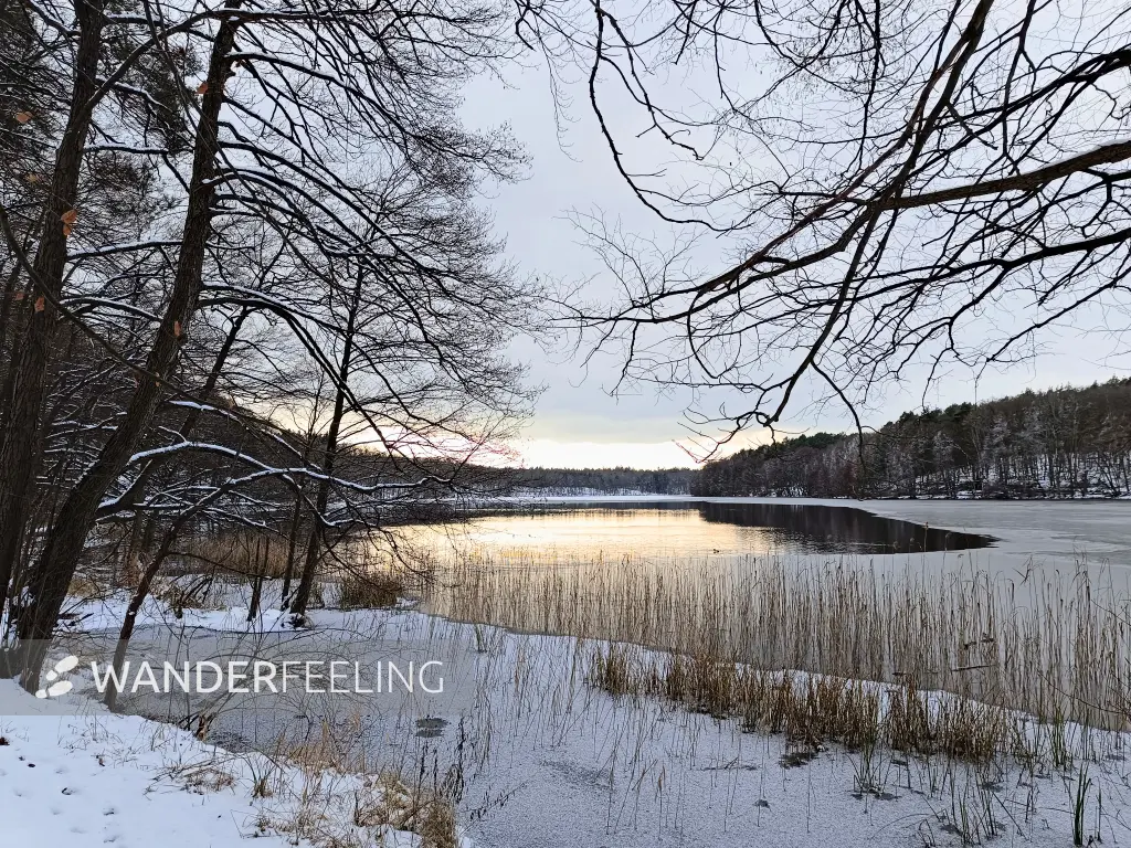 202502150-36 - Liepnitzsee, Barnimer Land, Brandenburg, Deutschland