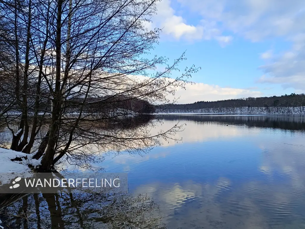 202502150-39 - Liepnitzsee, Barnimer Land, Brandenburg, Deutschland
