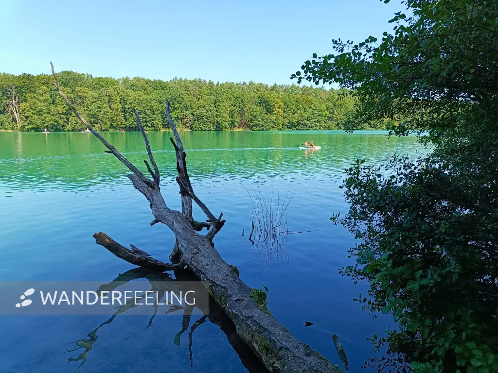 202608150-13 - Liepnitzsee bei Wandlitz, Barnimer Land, Brandenburg, Deutschland