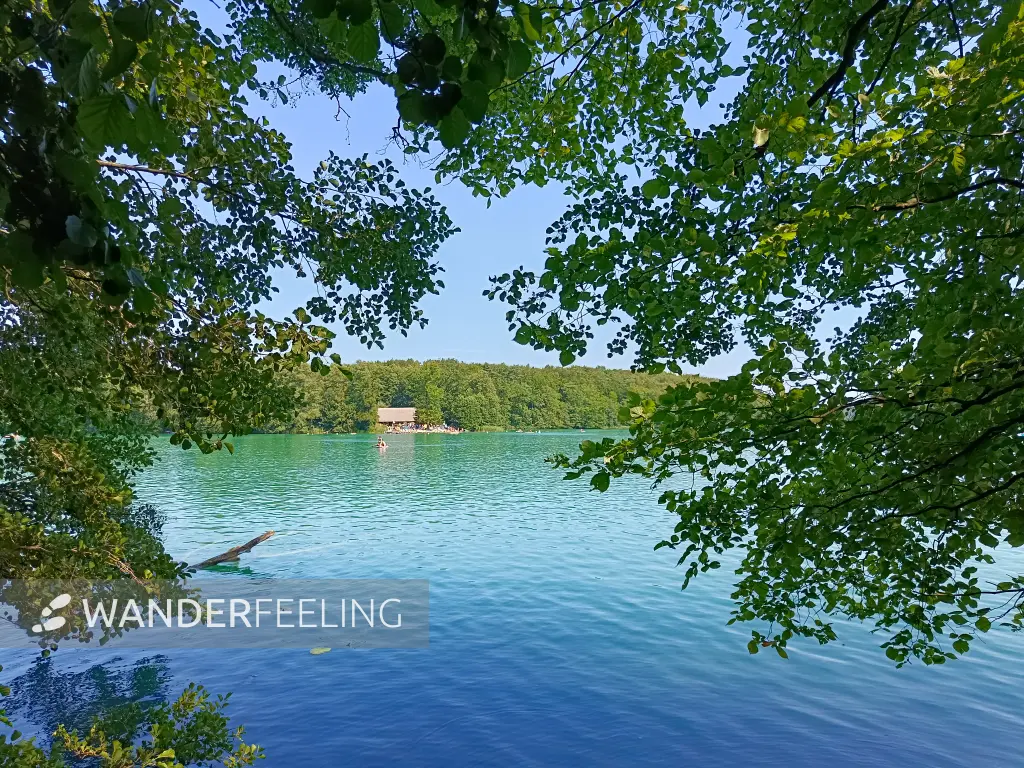 202608150-14 - Liepnitzsee bei Wandlitz, Barnimer Land, Brandenburg, Deutschland