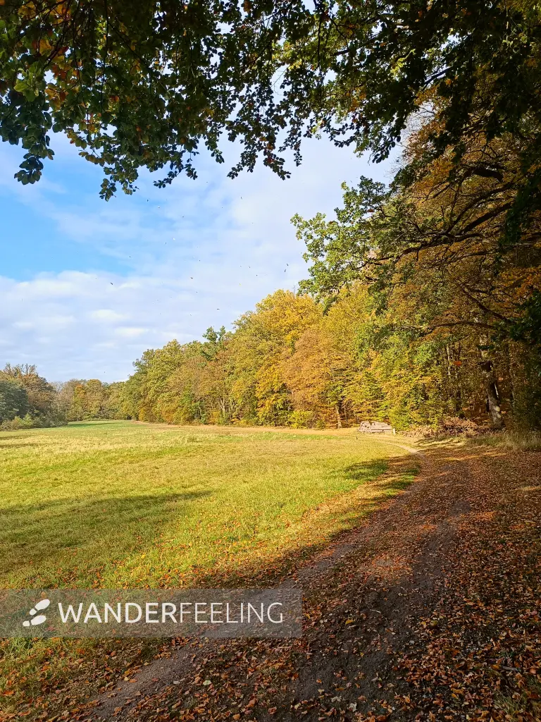 202510210-32 - Lindetal bei Burg Stargard, Mecklenburgische Seenplatte, Mecklenburg-Vorpommern, Deutschland