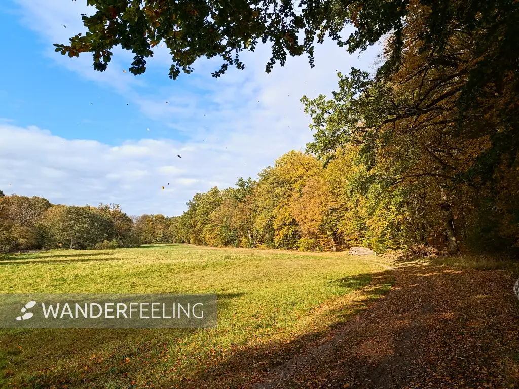 202510210-33 - Lindetal bei Burg Stargard, Mecklenburgische Seenplatte, Mecklenburg-Vorpommern, Deutschland