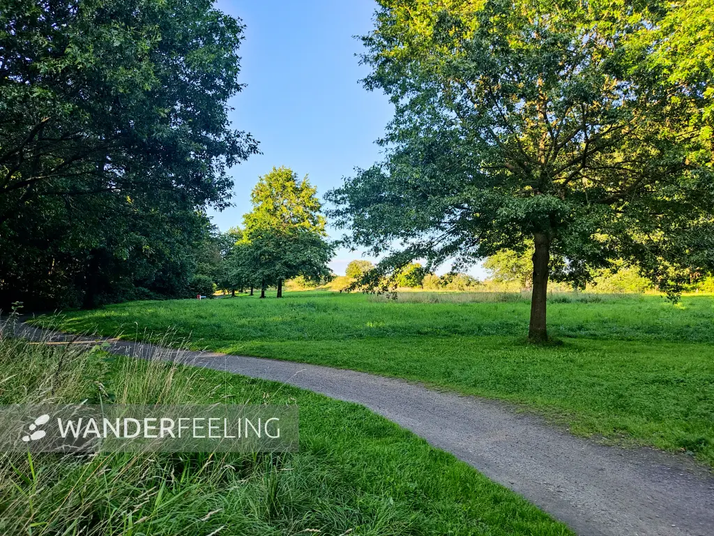 202308221-18 - Lise-Meitner-Park in Groß Flottbek, Hamburg, Deutschland