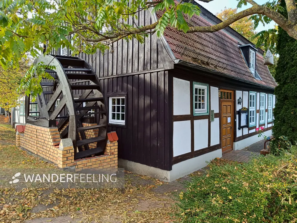 202510210-45 - Lohmühle in Neubrandenburg, Mecklenburgische Seenplatte, Mecklenburg-Vorpommern, Deutschland