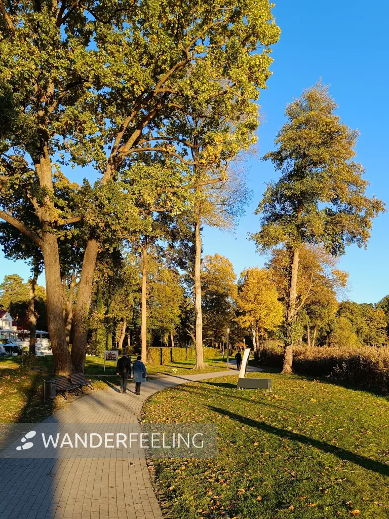 202610190-31 - Ludwig-Lesser-Promenade in Bad Saarow, Seenland Oder-Spree, Brandenburg, Deutschland