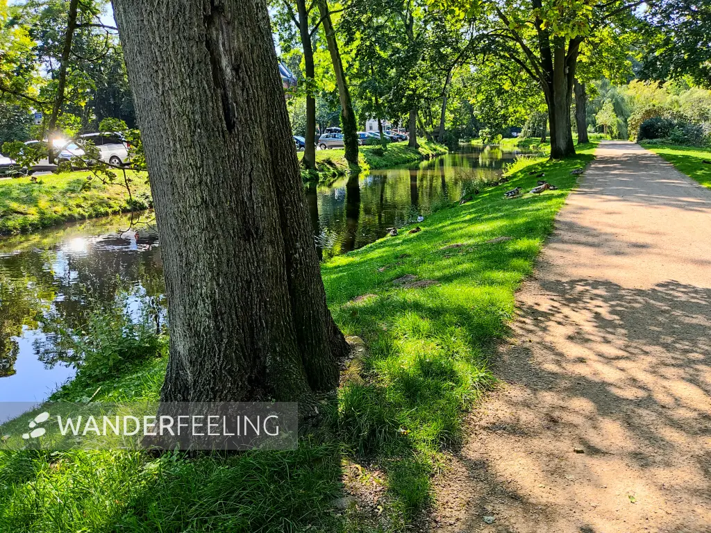 202308181-07 - Magnusgraben am Französischen Garten in Celle, Lüneburger Heide, Niedersachsen, Deutschland