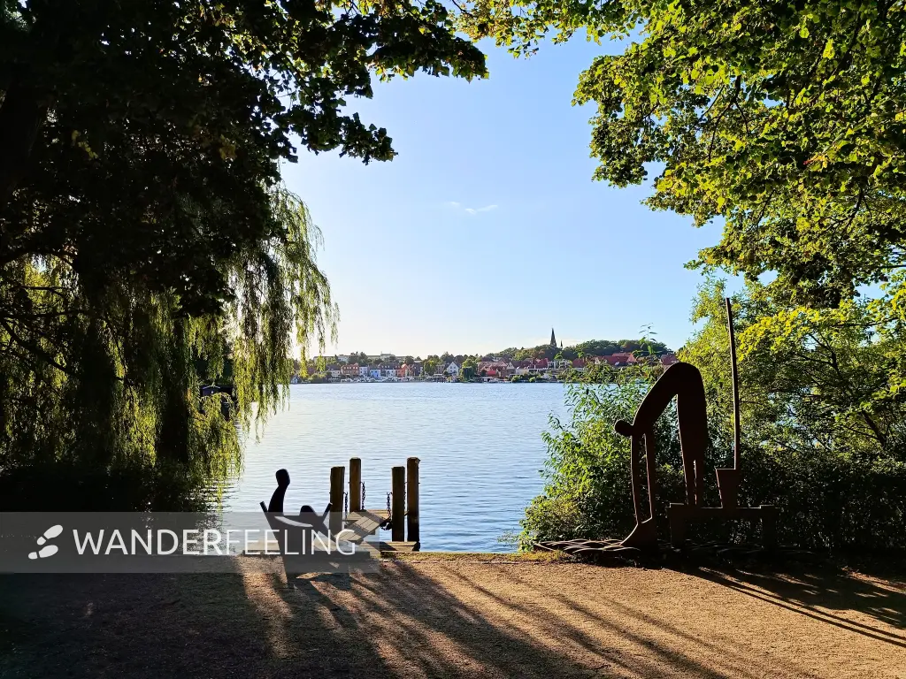 202509120-49 - Malchower See an der Inselstadt Malchow, Mecklenburgische Seenplatte, Mecklenburg-Vorpommern, Deutschland