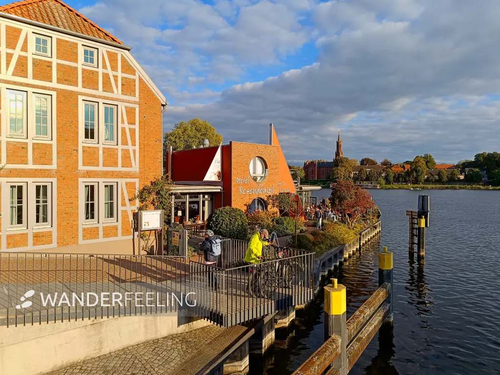 202509300-29 - Malchower See bei der Inselstadt Malchow, Mecklenburgische Seenplatte, Mecklenburg-Vorpommern, Deutschland