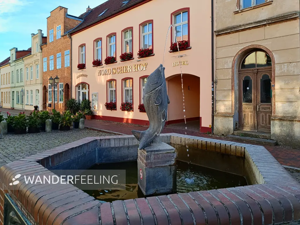 202510130-02 - Markt in Krakow am See, Mecklenburgische Seenplatte, Mecklenburg-Vorpommern, Deutschland