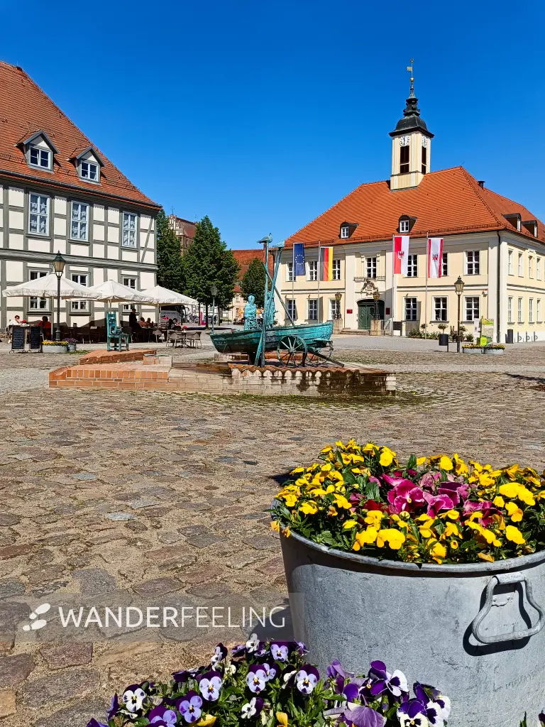202605090-07 - Markt mit Rathaus in Angermünde, Uckermark, Brandenburg, Deutschland