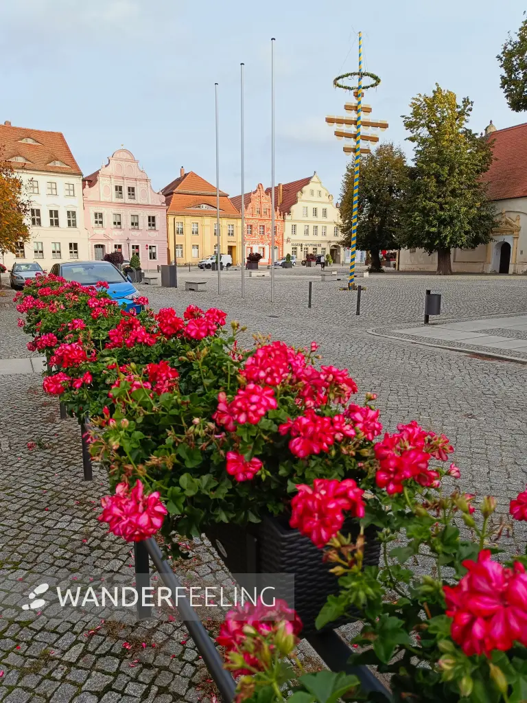 202610140-37 - Marktplatz in Luckau, Brandenburg, Deutschland
