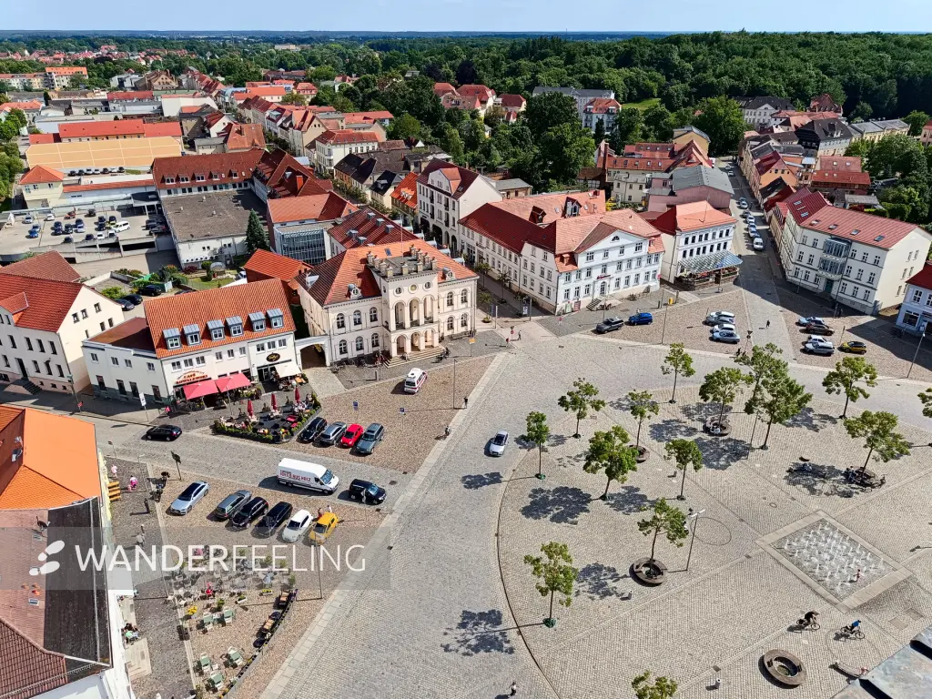 202506030-06 - Marktplatz in Neustrelitz, Mecklenburgische Seenplatte, Mecklenburg-Vorpommern, Deutschland