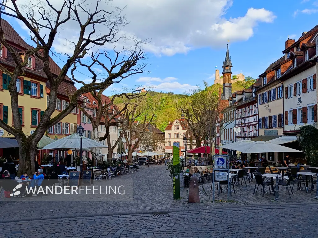 202504140-40 - Marktplatz in Weinheim, Nordbaden, Baden-Württemberg, Deutschland