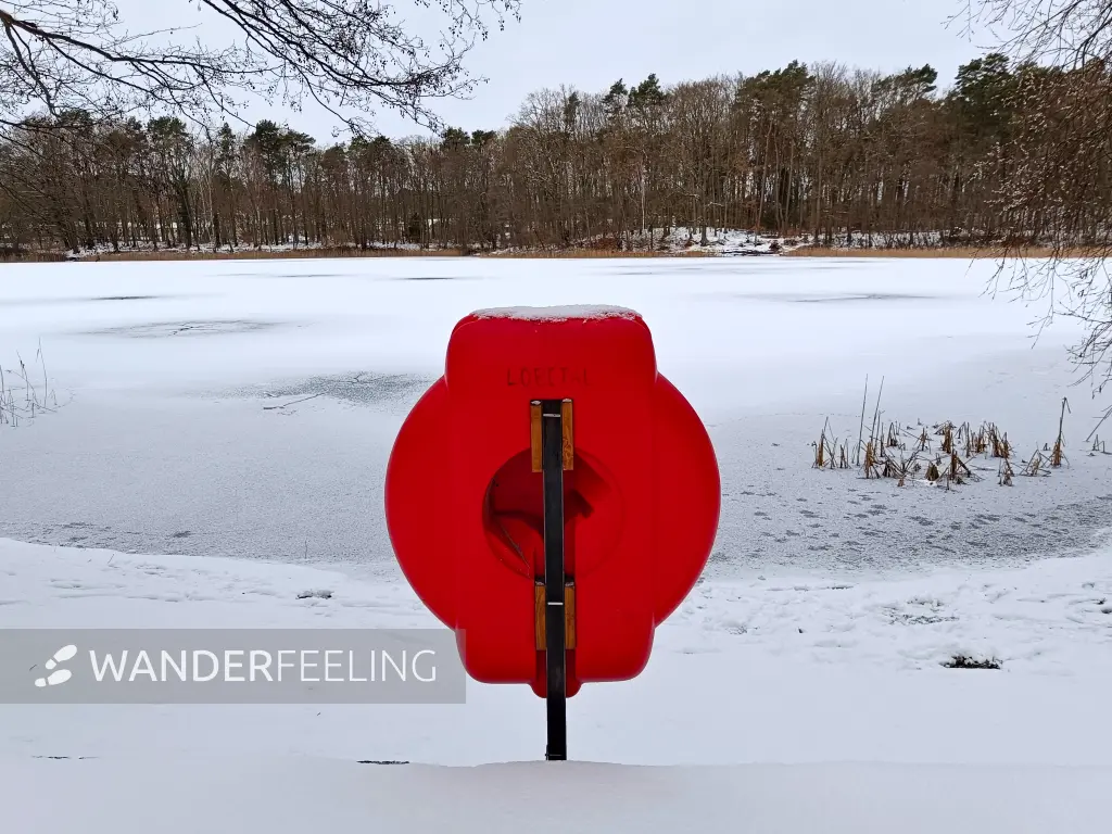 202502150-02 - Mechesee bei Lobetal, Barnimer Land, Brandenburg, Deutschland