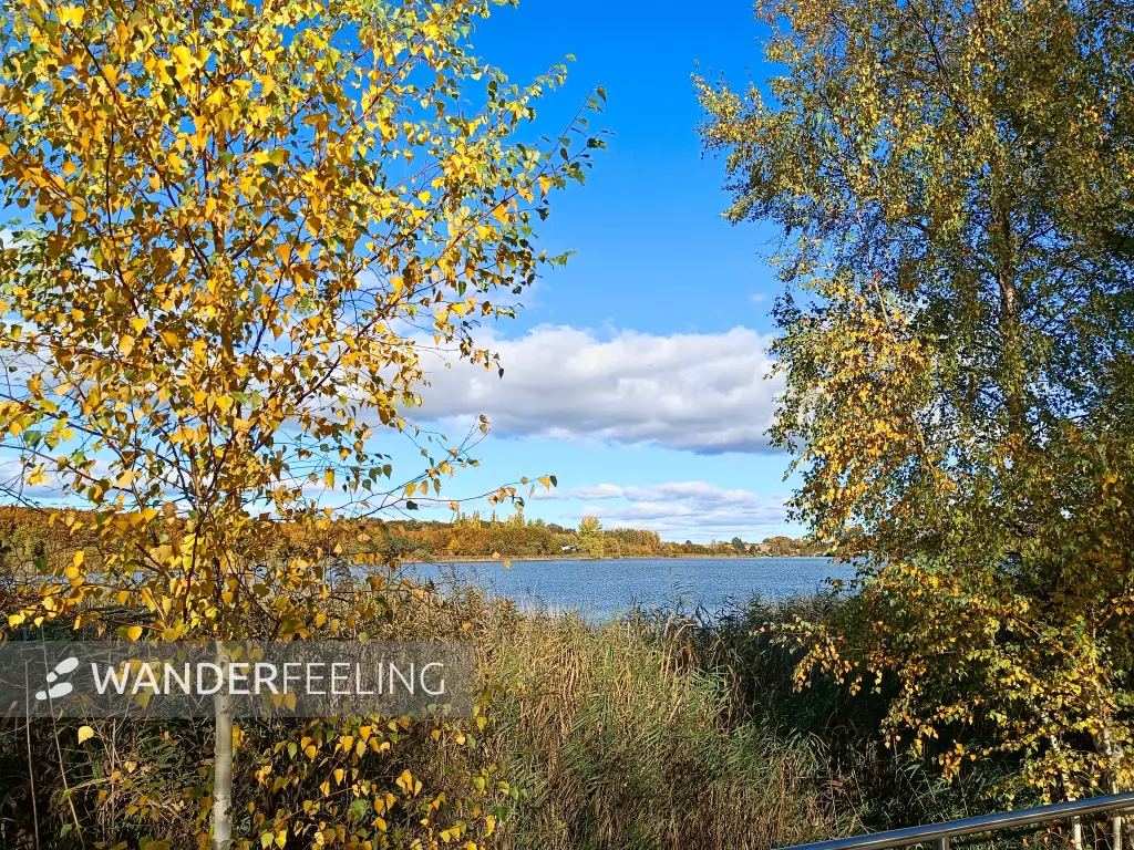 202510180-20 - Melzer See bei Waren, Mecklenburgische Seenplatte, Mecklenburg-Vorpommern, Deutschland