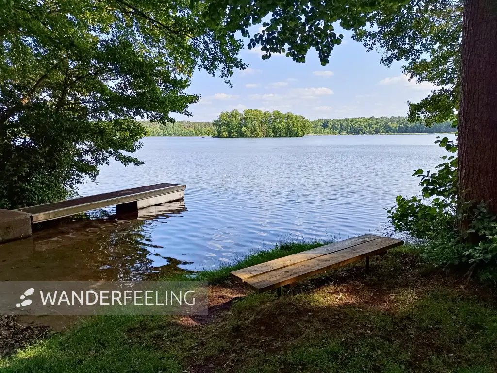 202506110-14 - Moderfitzsee bei Himmelpfort, Ruppiner Seenland, Brandenburg, Deutschland