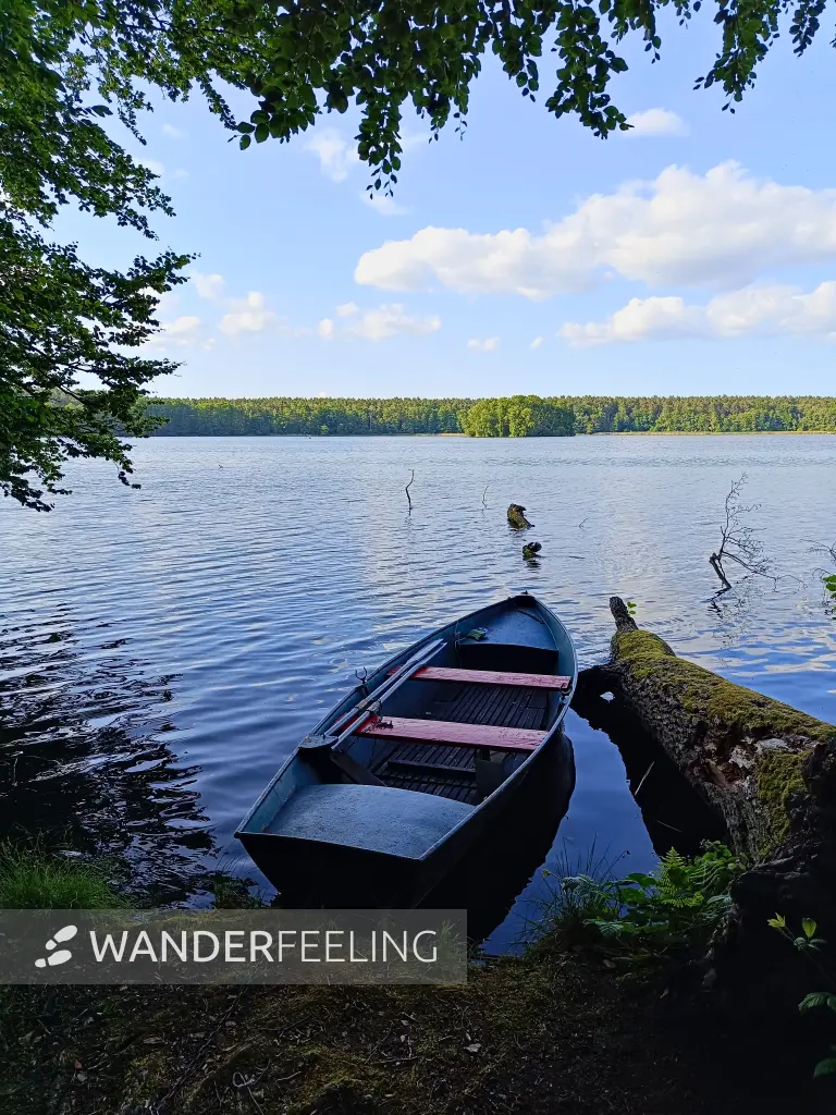 202506110-53 - Moderfitzsee bei Himmelpfort, Ruppiner Seenland, Brandenburg, Deutschland