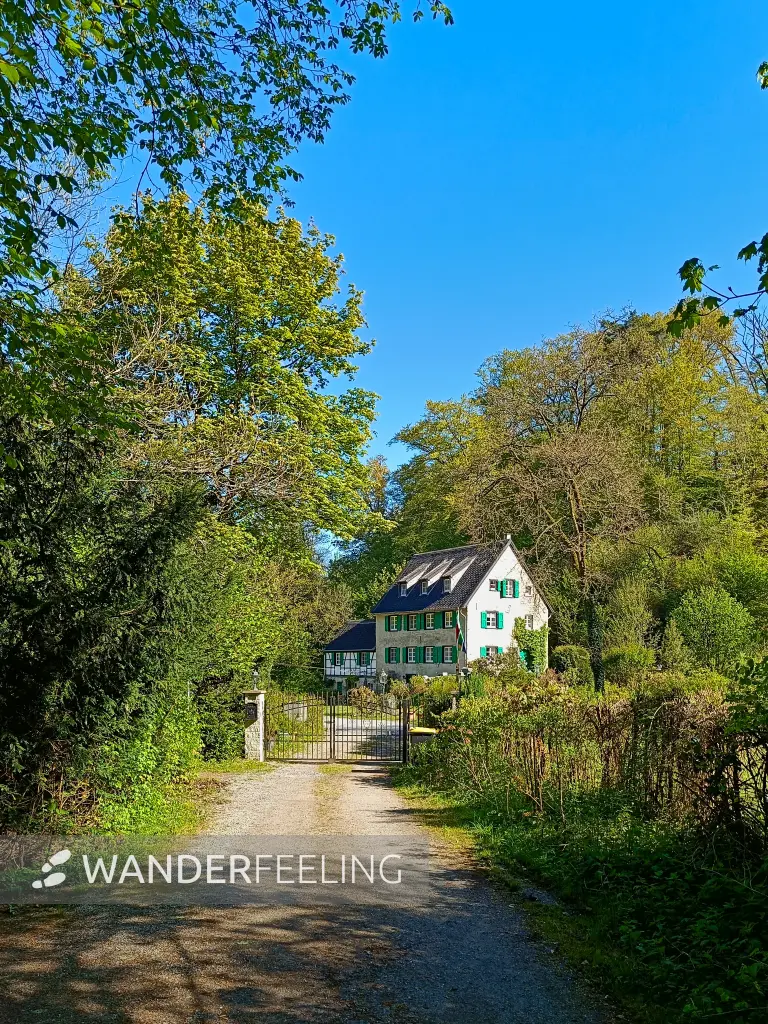 202604230-12 - Mühle im Düsseltal, Bergisches Land, Nordrhein-Westfalen, Deutschland