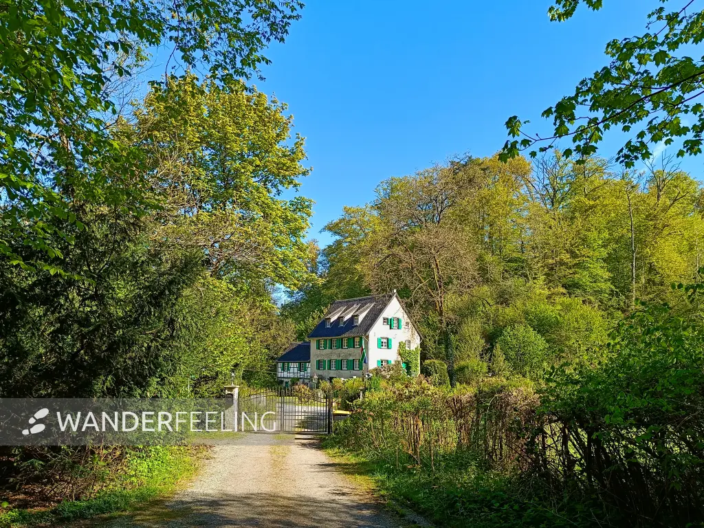 202604230-13 - Mühle im Düsseltal, Bergisches Land, Nordrhein-Westfalen, Deutschland